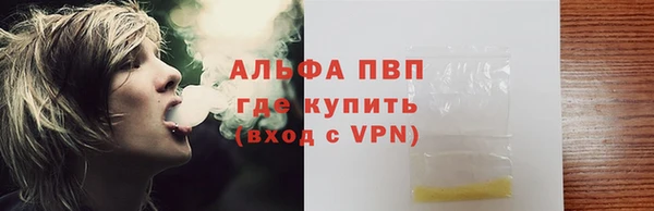 индика Новоуральск