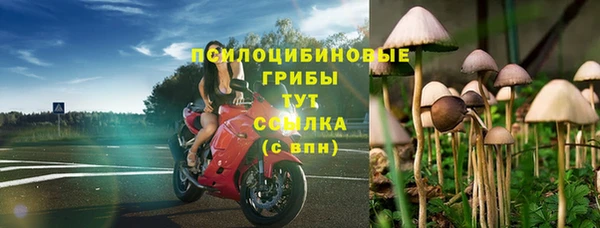 бутират Алзамай