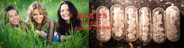 2c-b Алексин