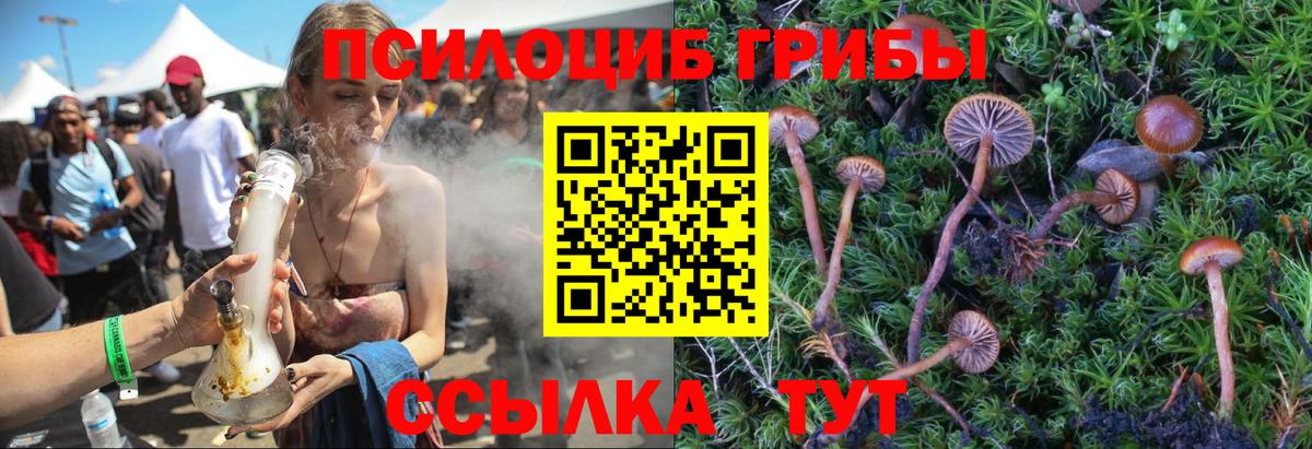 Галлюциногенные грибы Cubensis Чусовой